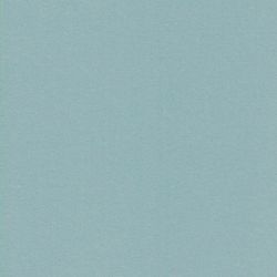 Tissu sweat fin céladon 