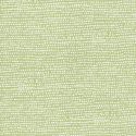 Tissu coton à pois fond vert Reed 